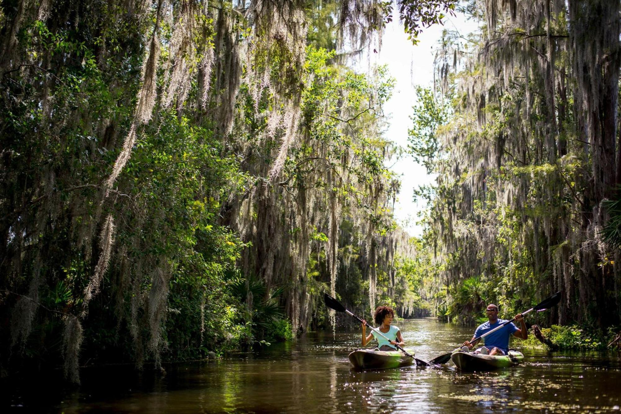 Jw Marriott Orlando Grande Lakes Williamsburg Εξωτερικό φωτογραφία